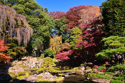 紅葉に染まる夢窓国師が手がけた庭園