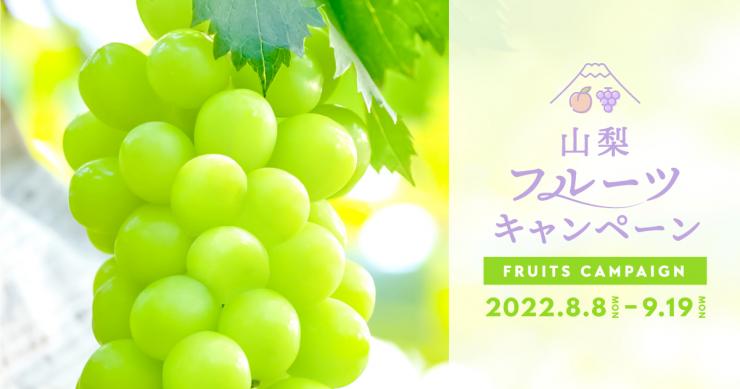 フルーツキャンペーンぶどう2022