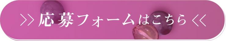 フォーム