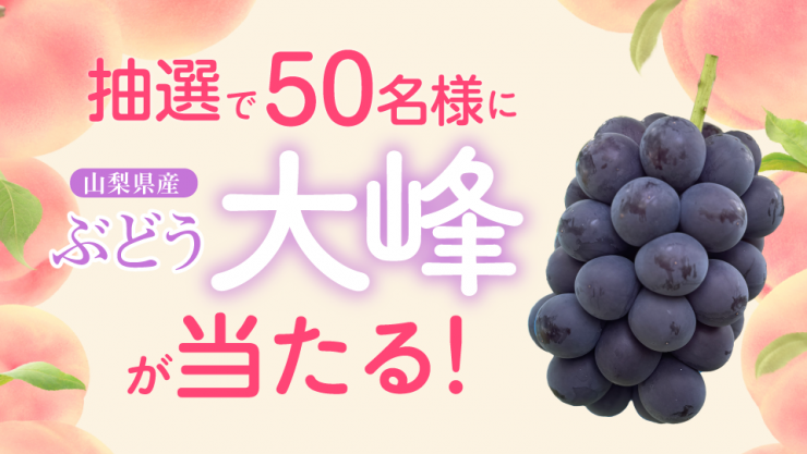 プレゼント