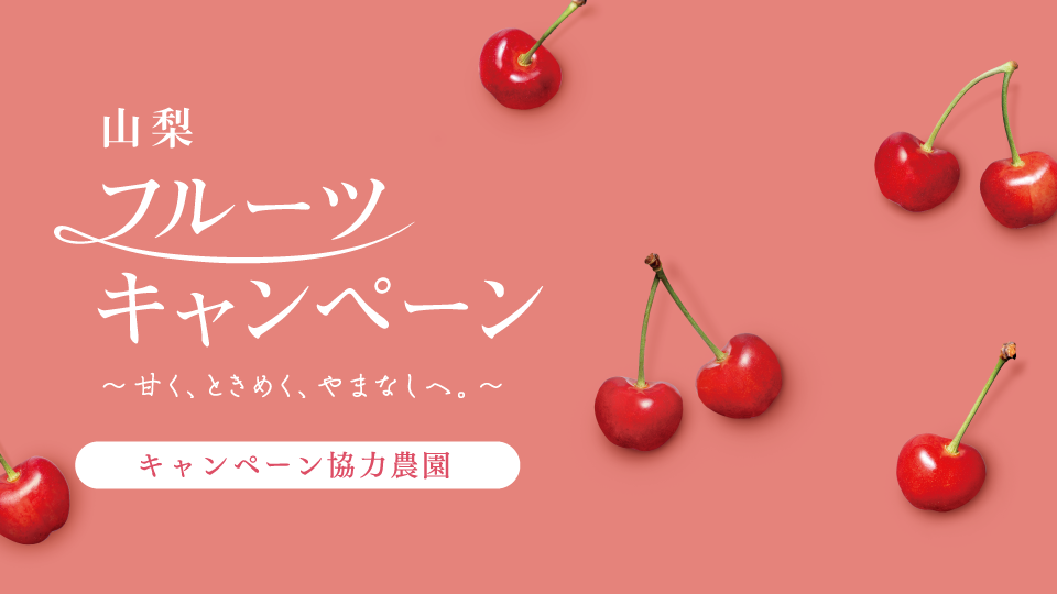 さくらんぼキャンペーン2025農園