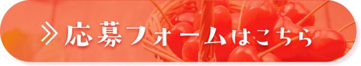 さくらんぼCP応募フォーム