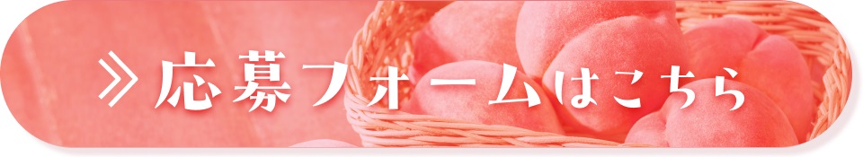 応募フォーム