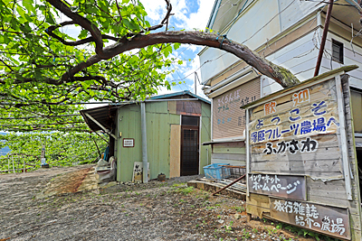 塚原山フルーツ農場ふかさわ外観