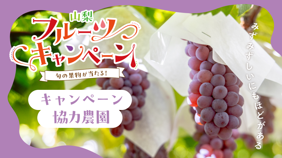 キャンペーン協力農園