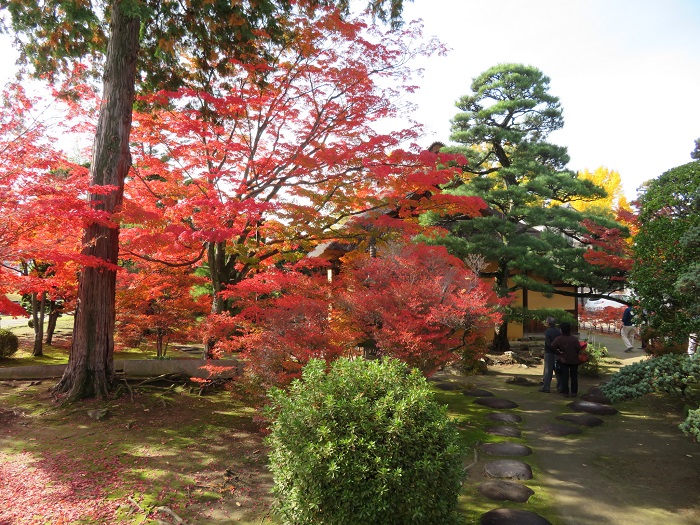 八田家書院-紅葉-01