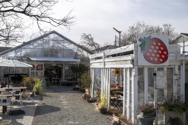 ひじかた洋蘭いちご園