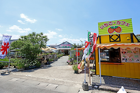 ひじかた洋蘭いちご園