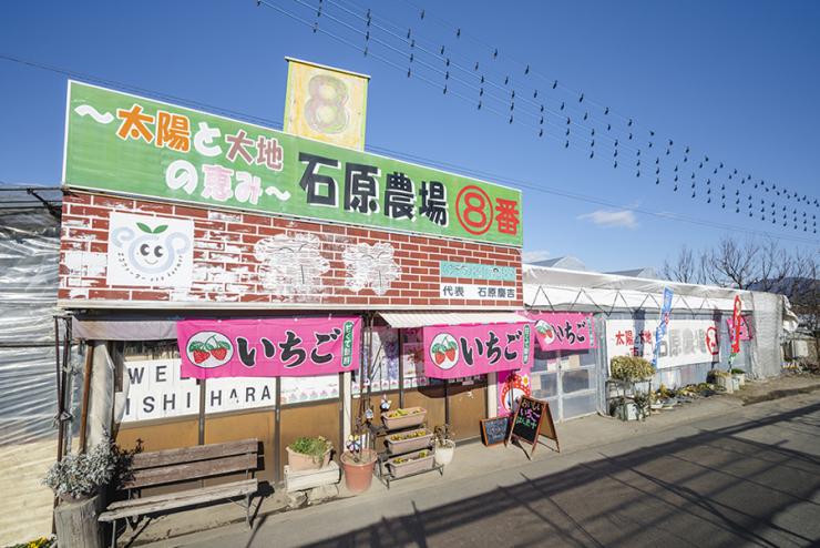 太陽と大地の恵み〜⑧番石原農場