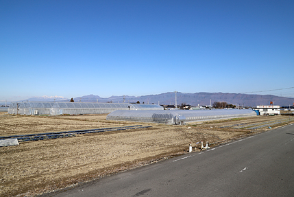 小曲町全景