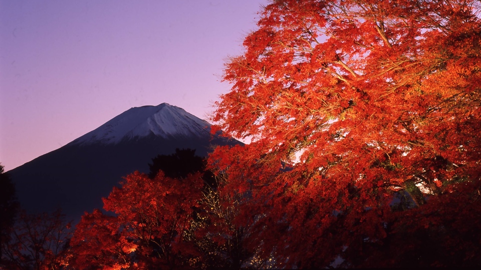 河口湖紅葉