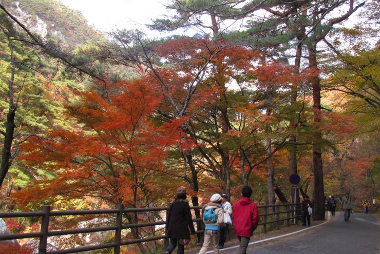 昇仙峡紅葉の渓谷沿い