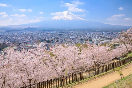 新倉山浅間公園