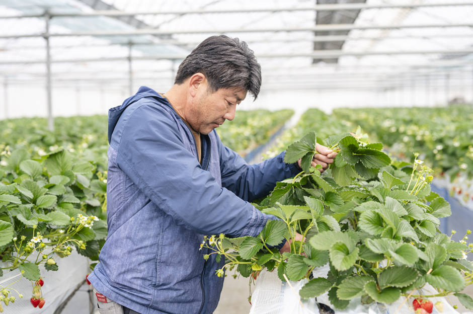 園主の中澤さん