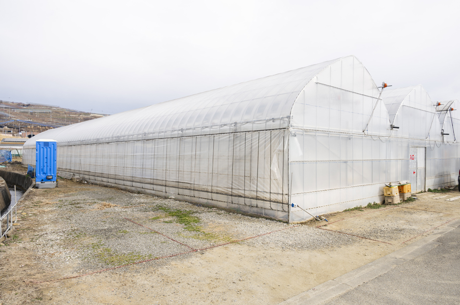 ハウスのすぐ前と横に駐車場を完備