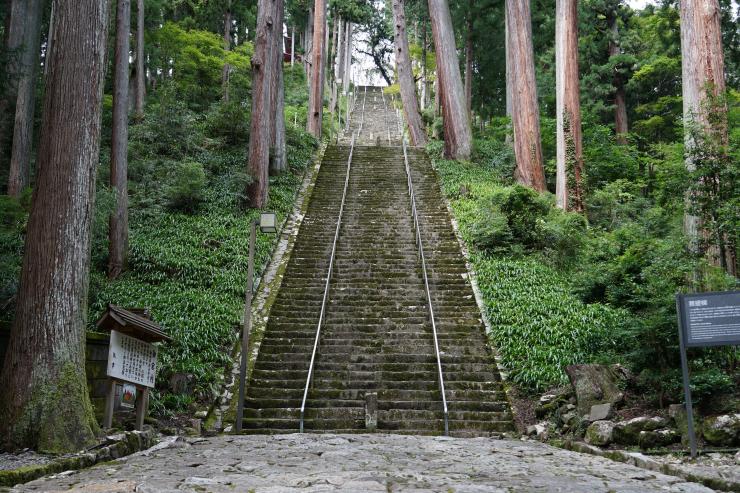 菩提梯