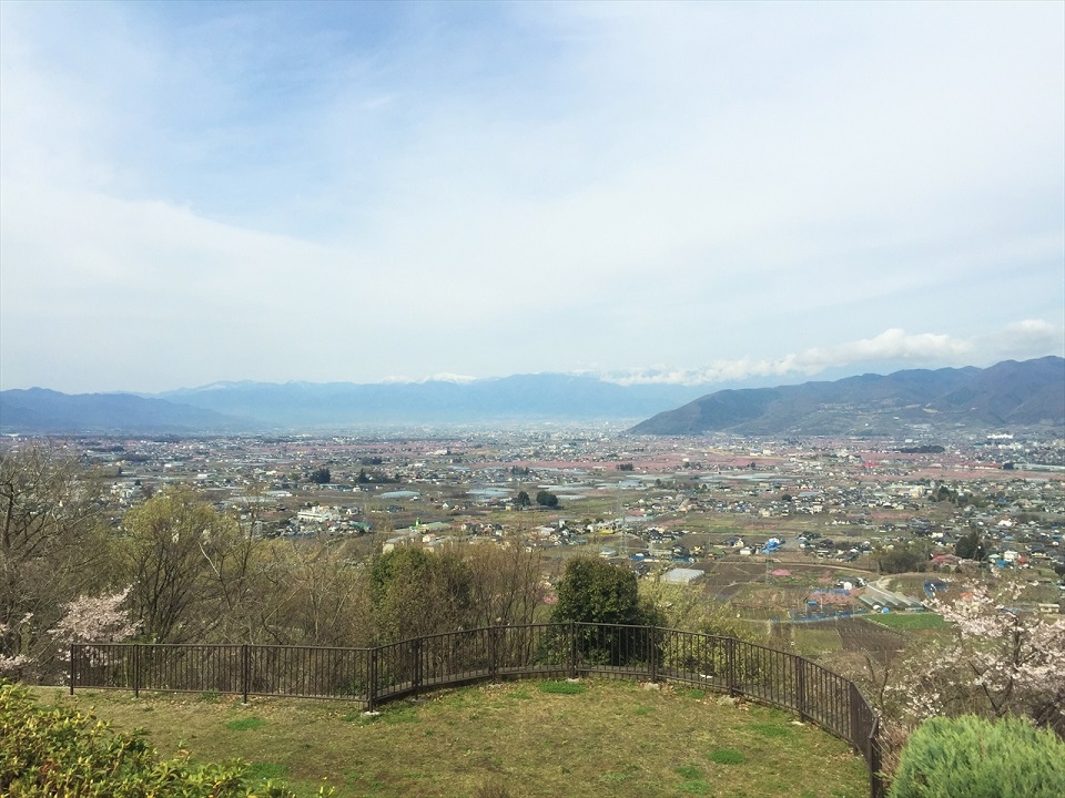 甲州市勝沼ぶどうの丘の桃の花