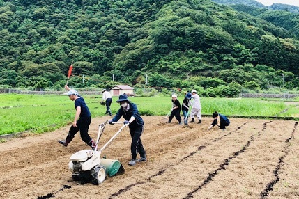 完全無農薬栽培を行うには土づくりが重要。