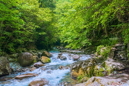 新緑や紅葉の季節はひときわ人気の西沢渓谷