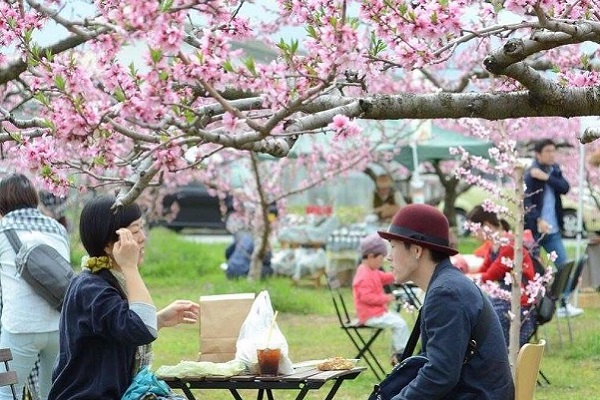 お花見カフェ 日本一の桃の産地で楽しむ、おススメ桃のお花見カフェを紹介♪