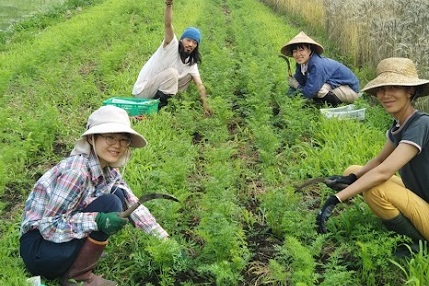 循環を大切にした有機農業を実践。