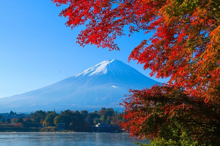 富士山と紅葉