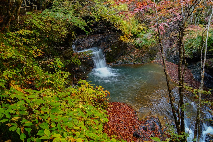 大柳川渓谷紅葉