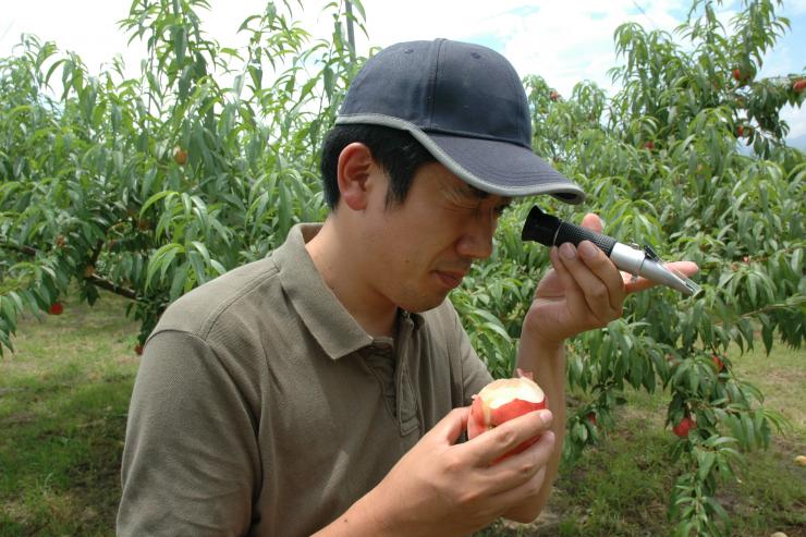 作業中の草塩社長