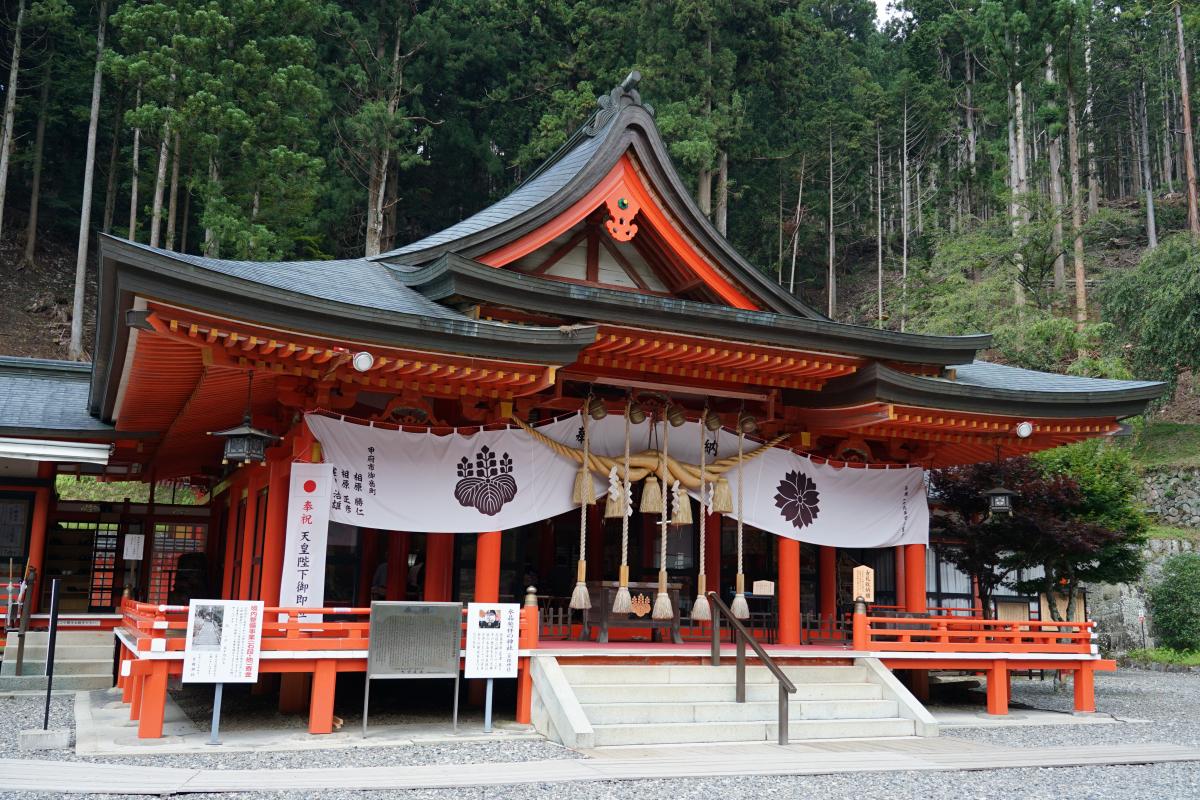 特集金櫻神社
