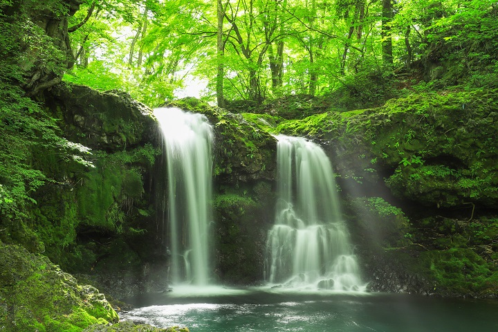 美味い酒造りに欠かせない、山梨の清らかな水