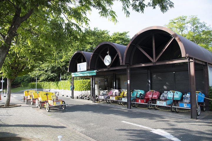 山梨県森林公園金川の森