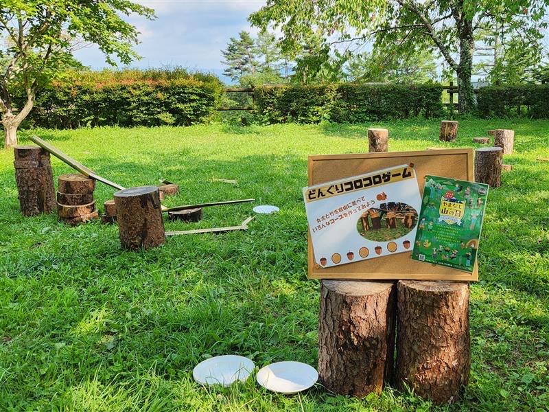 野外展示で思いっきり遊ぼう！