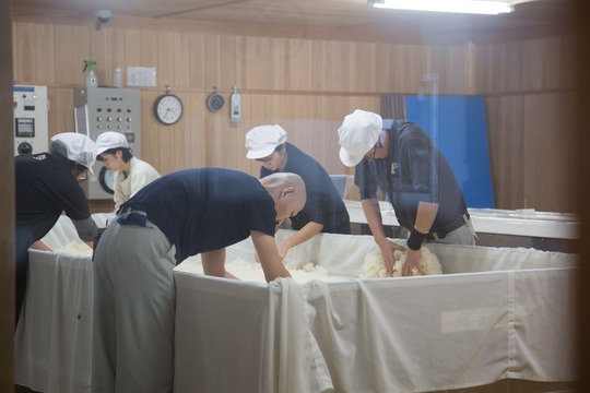 蔵人の繊細で丁寧な手仕事で、高品質な麹米に仕上げていきます