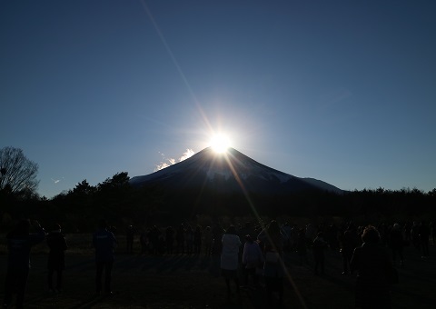 山中湖花の都公園