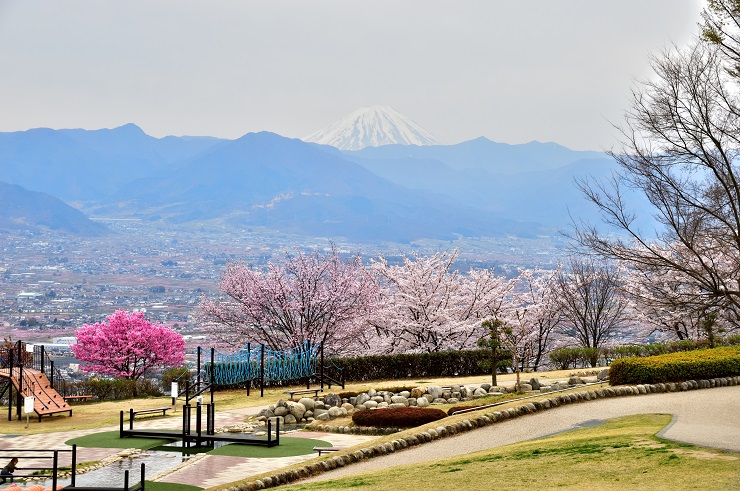笛吹川フルーツ公園