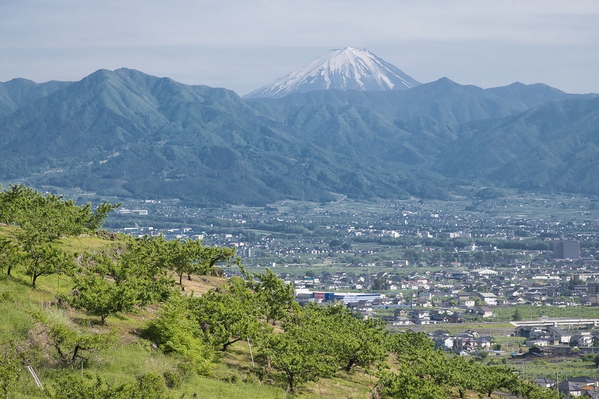 絶景テラスで癒されタイム