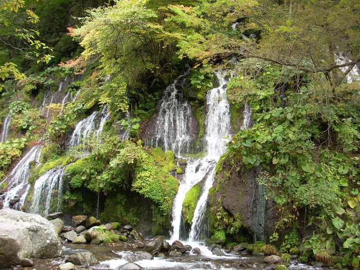 名水の里、山梨県の日本酒紹介