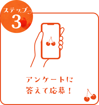 応募方法ステップ3