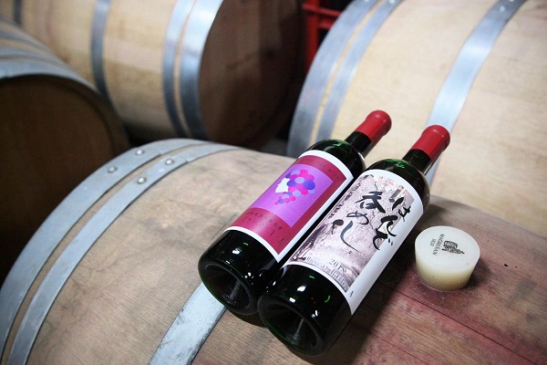 個性溢れるワインが生まれるワイナリー「東晨洋酒株式会社」