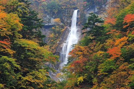 紅葉に囲まれて美しい姿を見せる精進ヶ滝