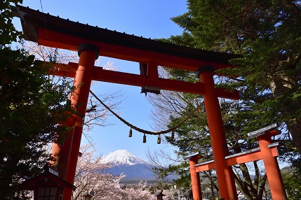 新倉富士浅間神社の鳥居