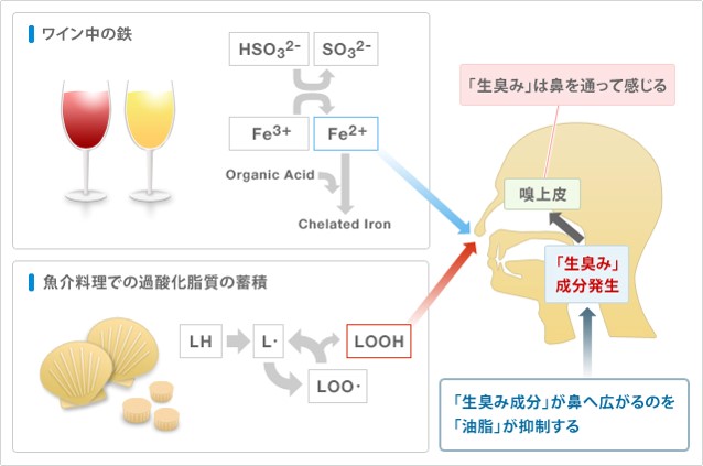 ヘプタジエナール発生のメカニズム（出典：メルシャン株式会社）