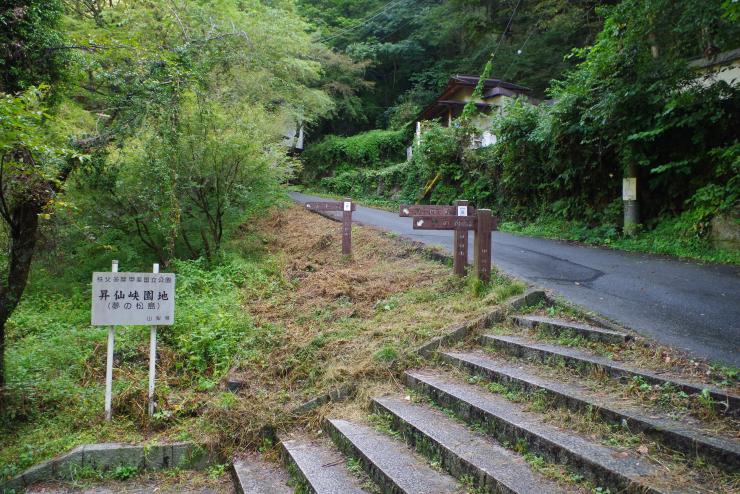 夢の松島エリアその2