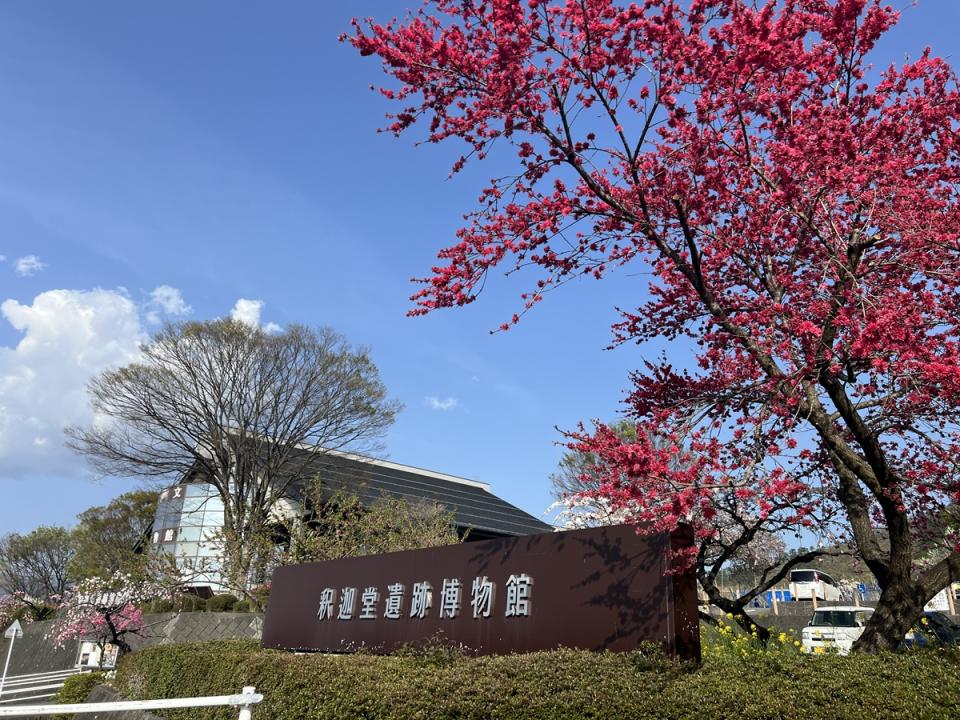 春の釈迦堂遺跡博物館
