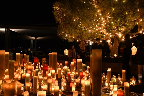 イルミネーション　キャンドルと木