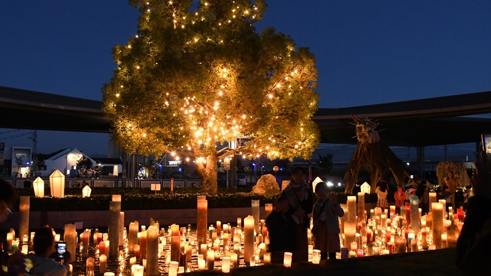 ＤＲＡＧＯＮ-ＮＩＧＨＴ