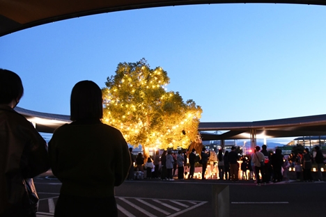 イルミネーション　写真