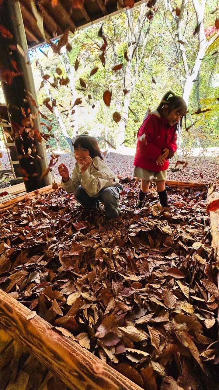 落ち葉プール
