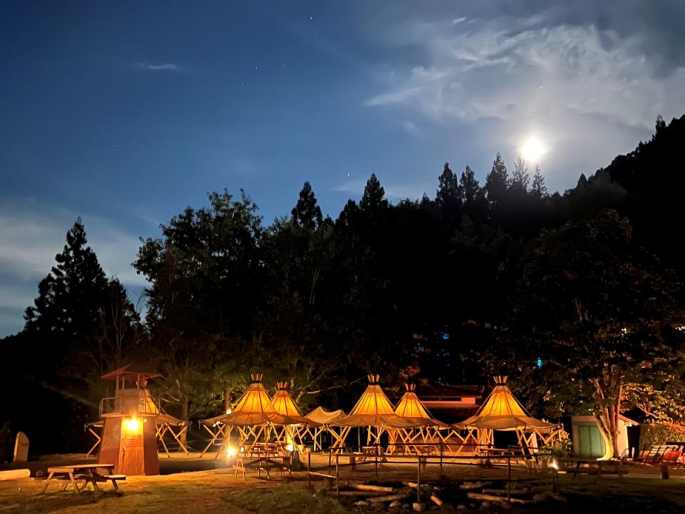 夜のミューの森