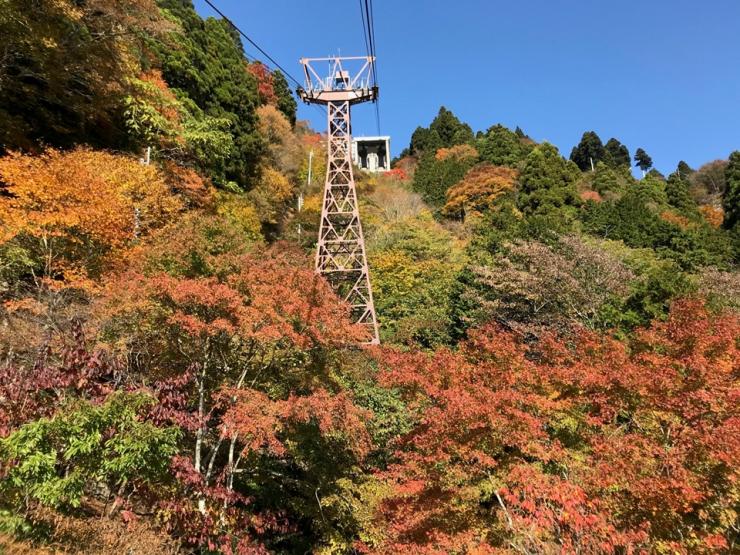 身延山ロープウェイ紅葉